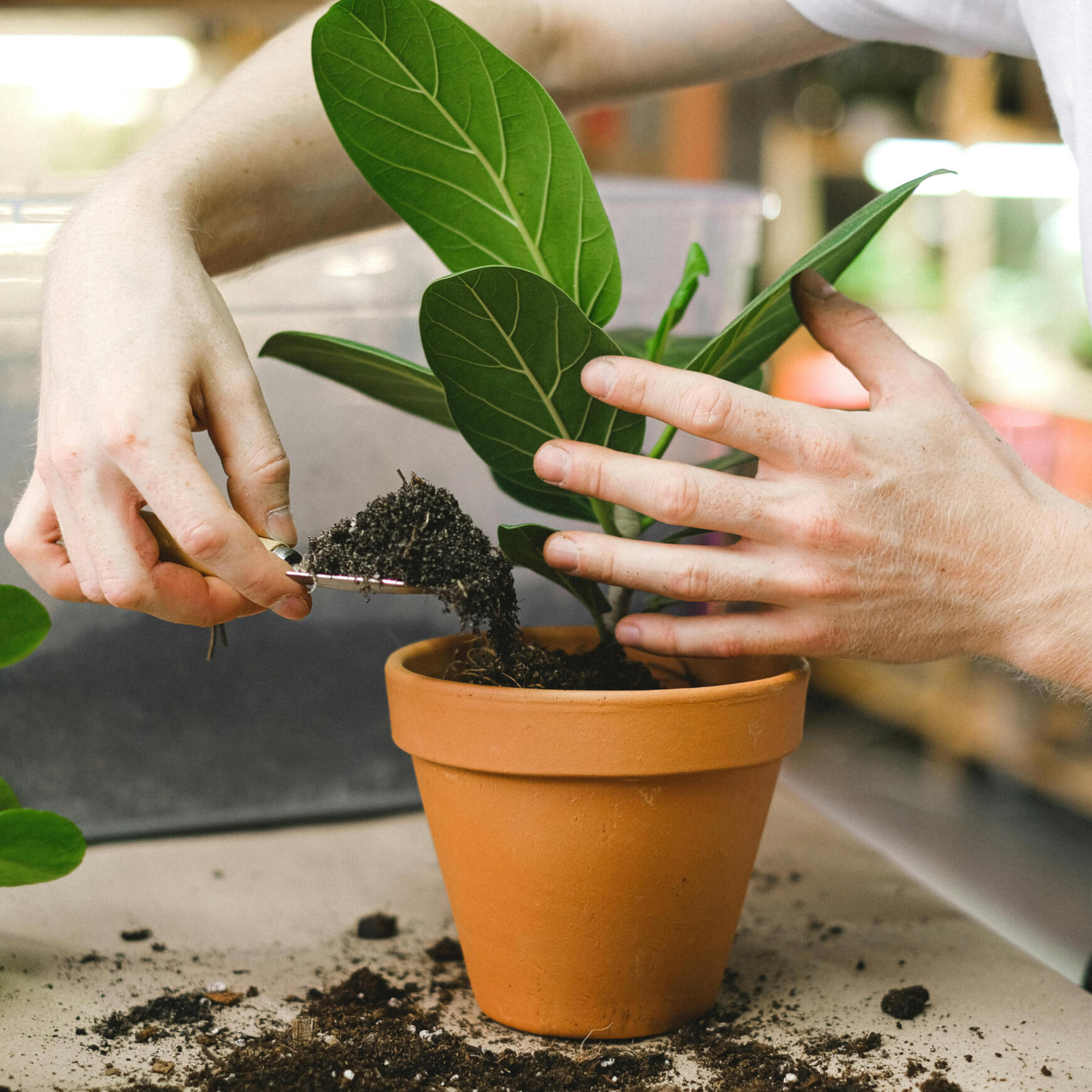 Garten- und Landschaftsbauer